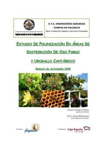 Descargar PDF - Fapas