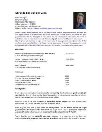 Curriculum Vitae (218 KB) - lokaalloket.nl