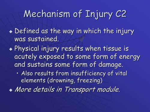 International Classification of the External Causes of Injury: ICECI