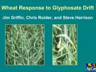 Wheat Response to Glyphosate Drift