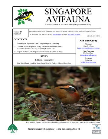 Singapore Avifauna Vol 23 No 9 - Singapore Bird Group - Nature ...
