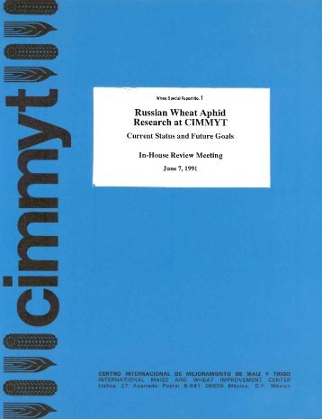 20 - cimmyt