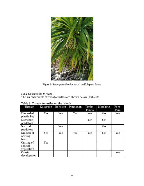 Marine Turtle status Report - Indian Ocean - South-East Asian ...