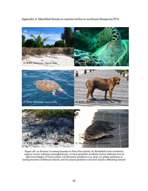 Marine Turtle status Report - Indian Ocean - South-East Asian ...