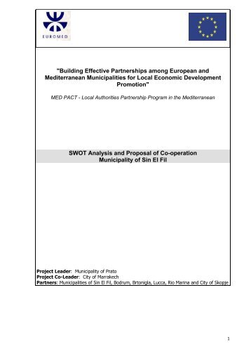 SWOT Analysis