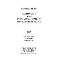 edible bean agronomy and pest management research results 2007