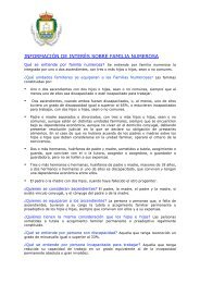 Word Pro - Copia de FAMILIA NUMEROSA.lwp - Ayuntamiento de ...