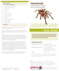 tarantula care sheet - Petco