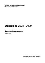 Download hele studiegids (PDF) - Studiegidsen - Radboud ...