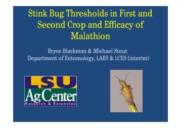 Stink Bug Thresholds in First and Second Crop and Efficacy of ...