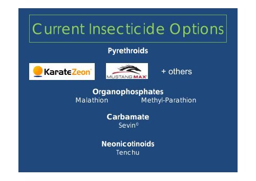 Stink Bug Thresholds in First and Second Crop and Efficacy of ...