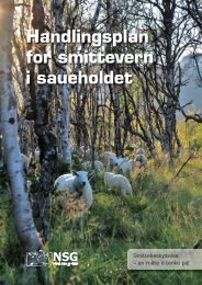 vanlig PDF-fil - Norsk Sau og Geit