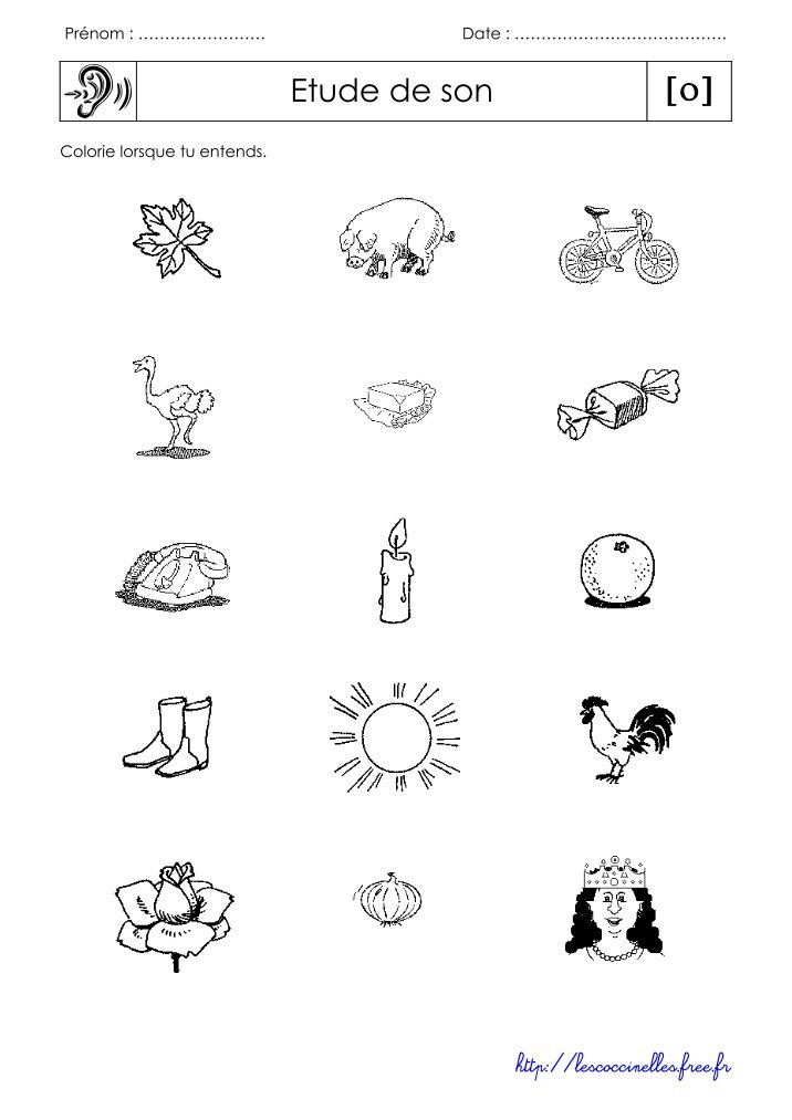 EXERCICES VOCABULAIRE ORTHOGRAPHE LES COCCINELLES PDF visual data 5