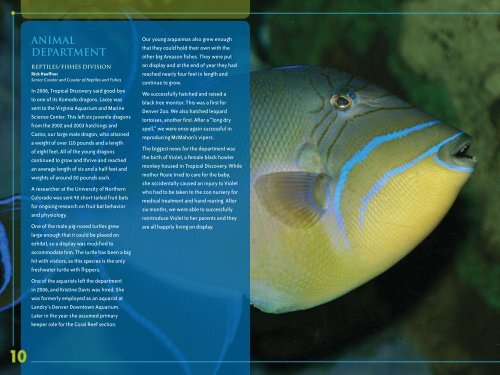 ANNUAL REPORT 2006 - Denver Zoo