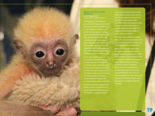 ANNUAL REPORT 2006 - Denver Zoo