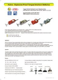 Download Catalogue Page - IDEM Safety.