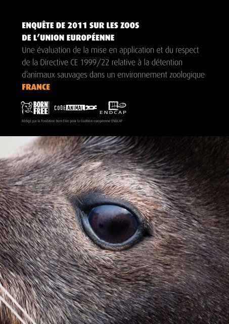 TÃ©lÃ©charger la version Pdf - Code Animal