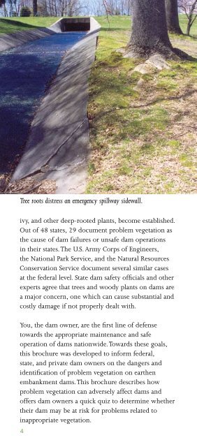 Dam Owner's Guide To Plant Impact on Earthen Dams - Federal ...