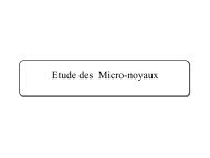 Micro-noyau - Master informatique