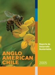 Reporte 2005: Anglo American Chile