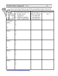 Animal Phyla Worksheet