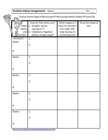 Protista Videos Assignment