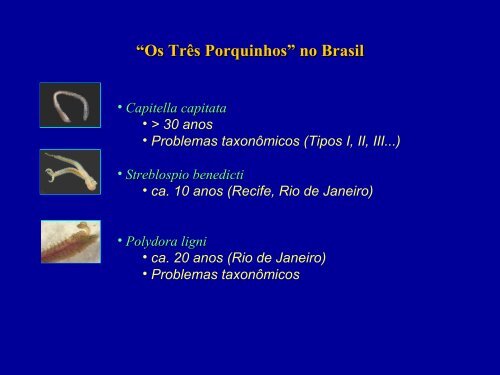 Poliquetas no monitoramento ambiental - Instituto de Biologia da ...