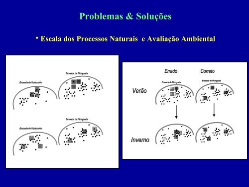 Poliquetas no monitoramento ambiental - Instituto de Biologia da ...