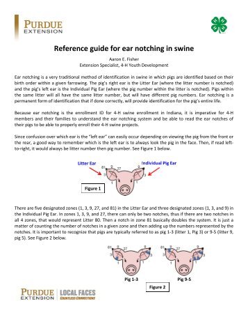 Reference guide for ear notching in swine - Indiana 4-H - Purdue ...