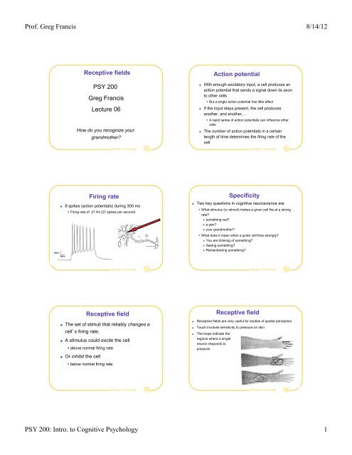 Introduction to Cognitive Psychology - Department of Psychological ...