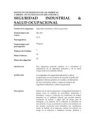 SEGURIDAD INDUSTRIAL & SALUD OCUPACIONAL - ITLA