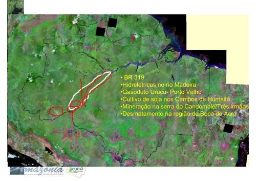 Biodiversidade do Interflúvio Madeira-Purus - Geoma - LNCC