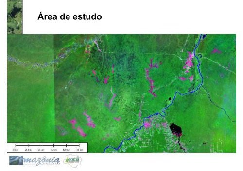 Biodiversidade do Interflúvio Madeira-Purus - Geoma - LNCC