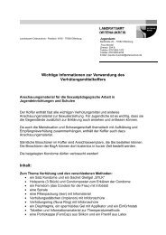 Landratsamt Ortenaukreis - Jugendnetz Ortenau