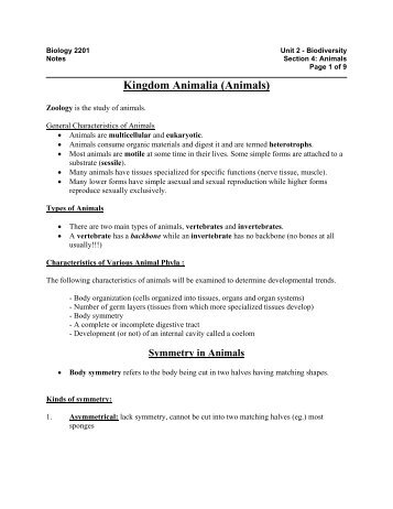 Kingdom Animalia (Animals)