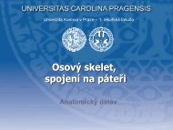 Å n - AnatomickÃ½ Ãºstav 1.LF UK - Univerzita Karlova