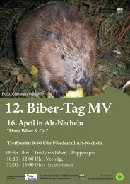 12. Biber-Tag MV - Naturpark Sternberger Seenland