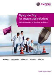 Sales Folder - Designed Polymers - Evonik Industries AG