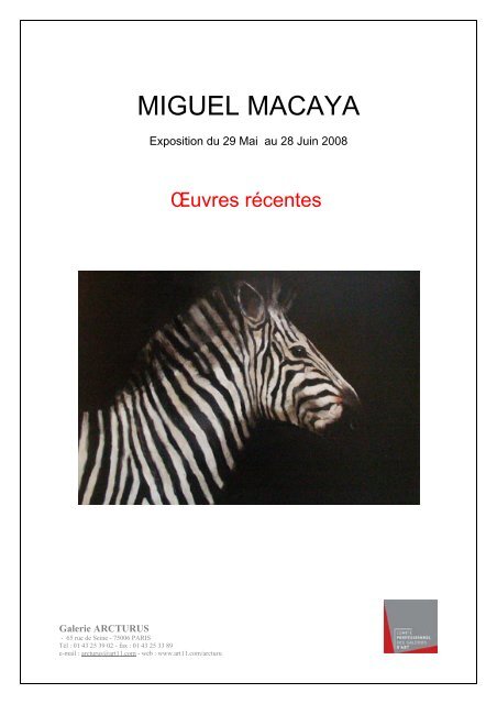 MIGUEL MACAYA - Art11.com
