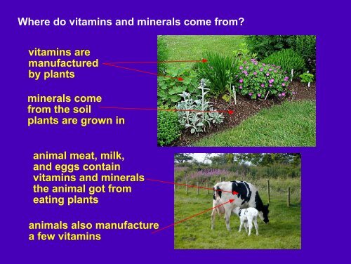 Chemistry 1010 The Chemistry of Food: Vitamins and Minerals