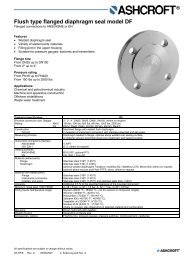 Flush type flanged diaphragm seal model DF - Ashcroft Instruments ...