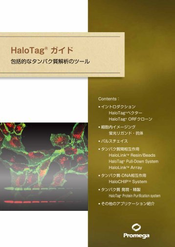 HaloTagÂ® ã¬ã¤ã