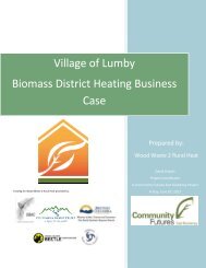 Village of Lumby Biomass District Heating Business Case