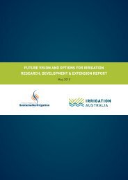 NPSI410-Future Vision and Options for Irrigation.pdf