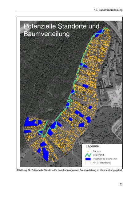 Kartierung der Streuobstbestände am Steinenberg - Hochschule ...