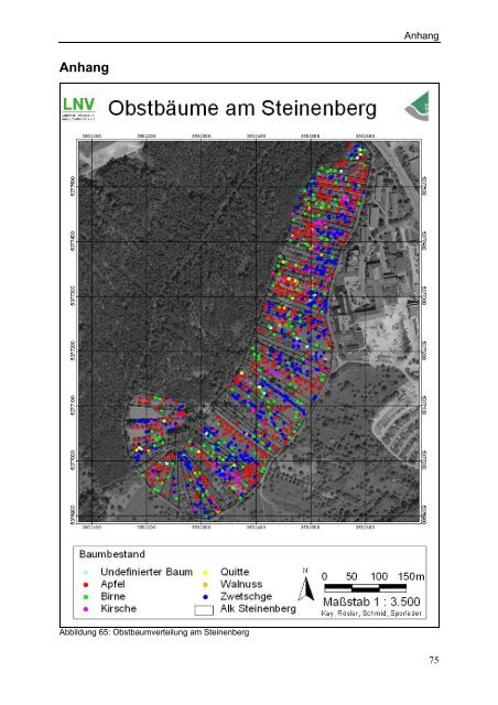 Kartierung der Streuobstbestände am Steinenberg - Hochschule ...