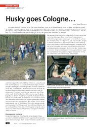 Husky goes Cologne… - WUFF - online