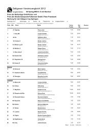 Dallgow Cup Springen - 2. Wertung - Reitverein Deutschlandhalle