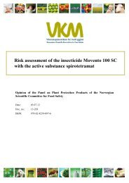 Risk assessment of the insecticide Movento 100 SC with the active ...