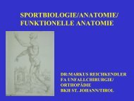 funktionelle anatomie